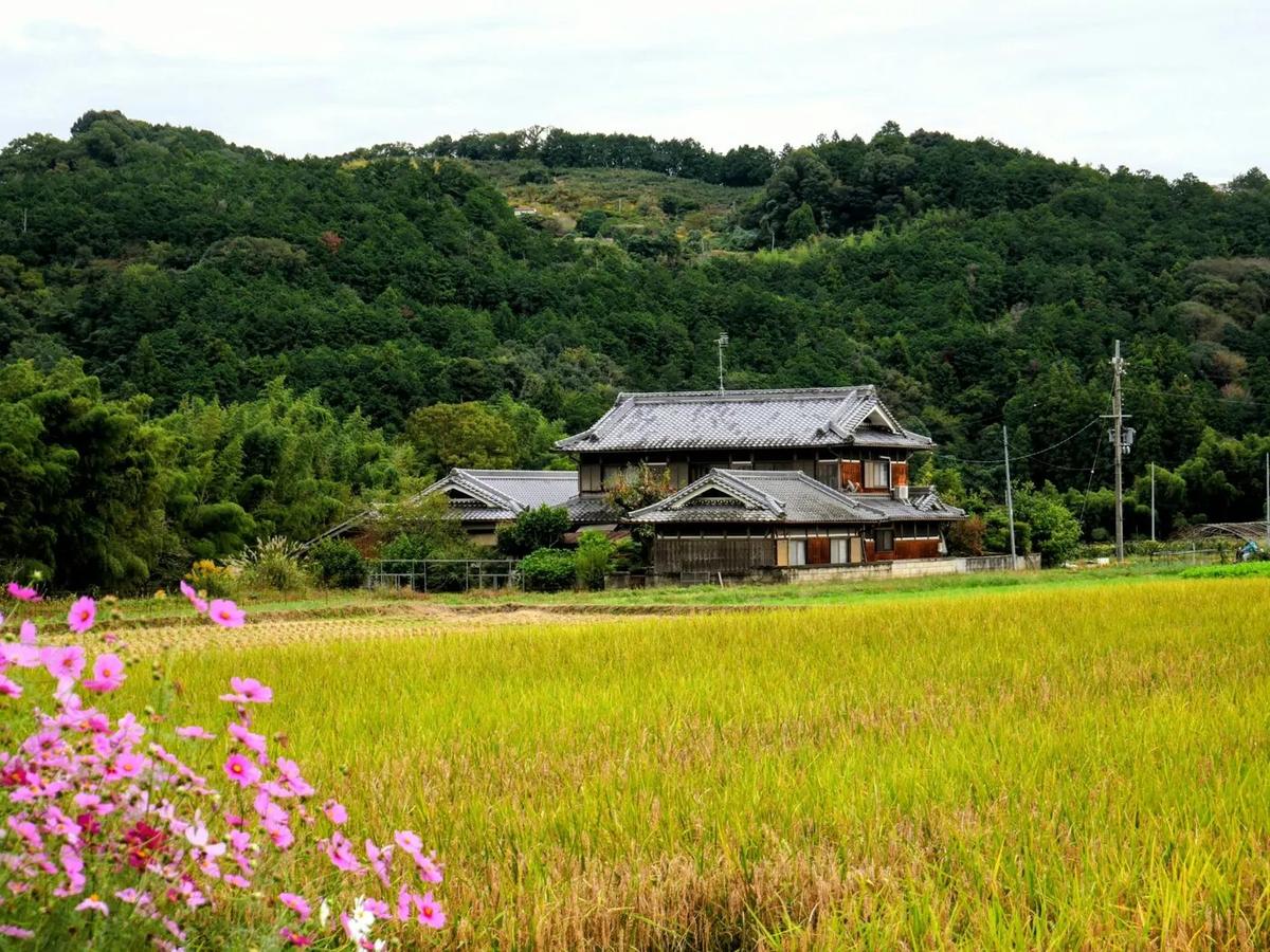 Una casa de campo junto a los arrozales