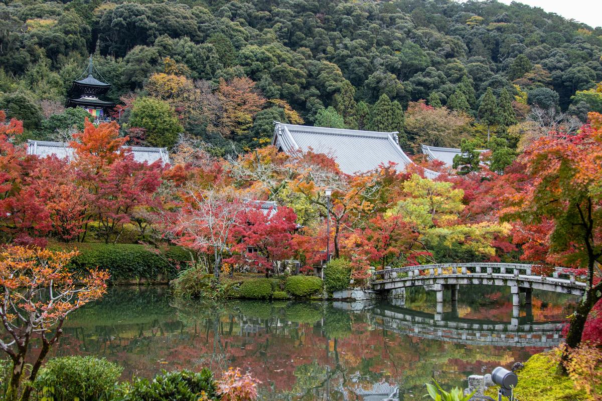Un jardín de templo, en otoño