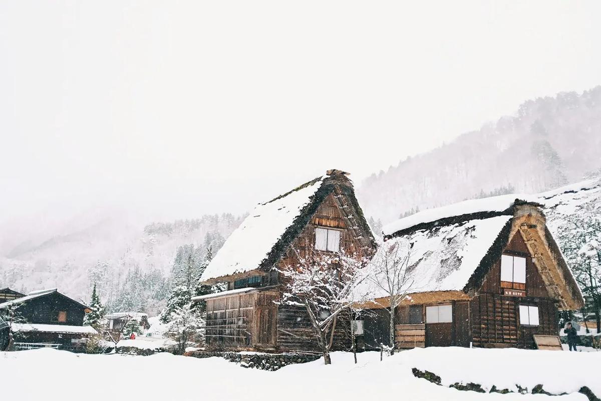 Las granjas con tejado de paja de Shirakawa-go, bajo la nieve